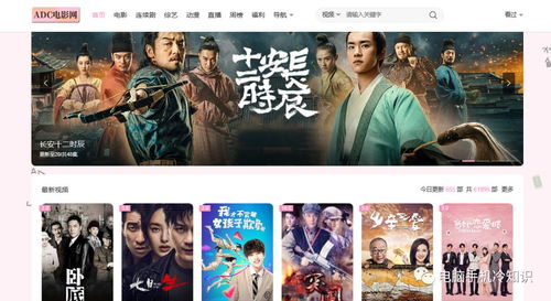 8大超牛的精品影視網(wǎng)站 免費資源與低調(diào)使用的全面指南，附帶電影攝制服務(wù)推薦